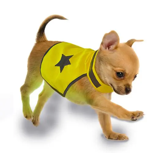 Jardin adapté：Gilet de sécurité jaune fluo pour chien 40 cm