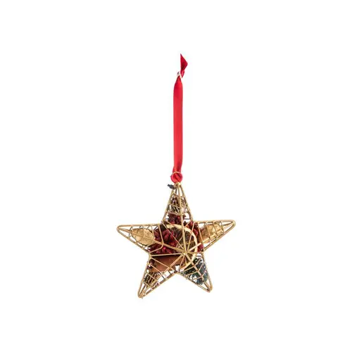 Bien pensé pour le jardin:Décoration à suspendre en métal or forme étoile garnie de pot-pourri rouge et vert - 9,2 x 4,1 x 13,5 cm