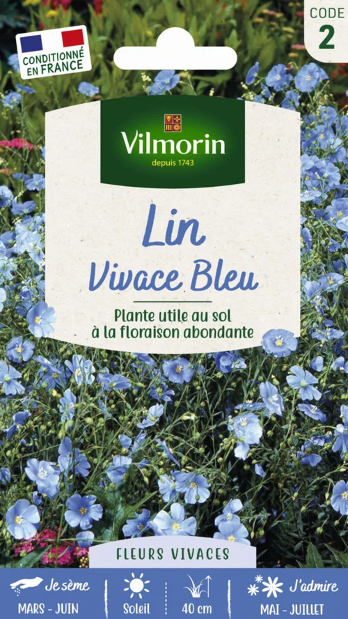 Essentiel extérieur：Lin Vivace Bleu Vilmorin - graines à semer