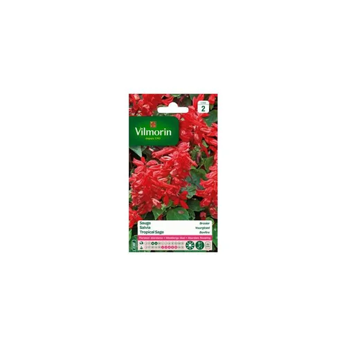 Espace vert sélection：Graines de Sauge rouge Brasier Vilmorin - graines à semer