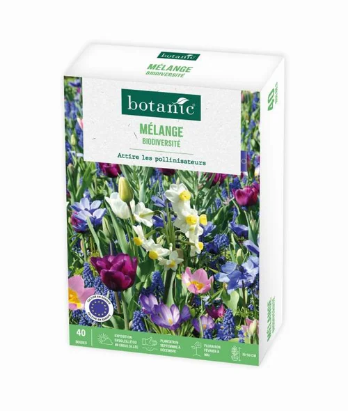 Déco au jardin：Mélange biodiversité botanic® - 40 bulbes
