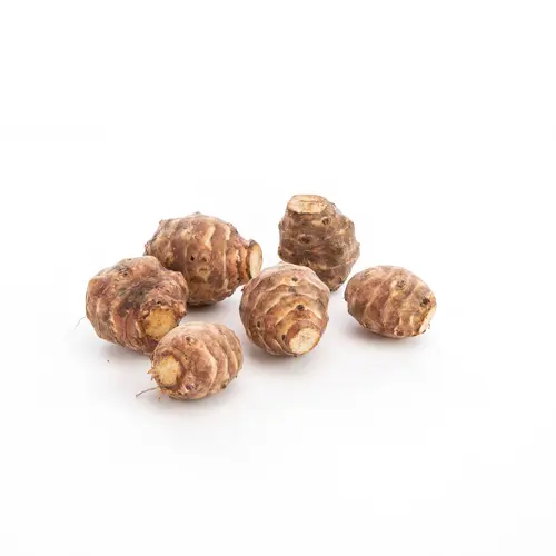 Pour embellir vos extérieurs:Topinambour bio - Prix au kg