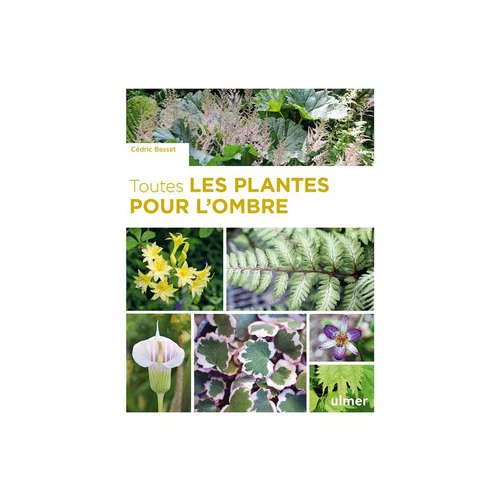 Jardin & pratique:Livre Toutes les plantes pour l'ombre aux Éditions Ulmer - 320 pages