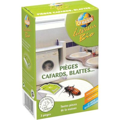 Pièges à cafards et blattes (Lot de 3)