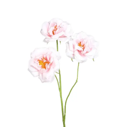Vie extérieure:Branche de rose artificielle rose clair à 3 fleurs - 65 cm