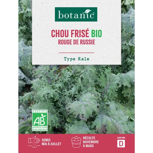 Un atout pour vos extérieurs:Graines de chou frisé rouge de Russie bio botanic® - graines à semer