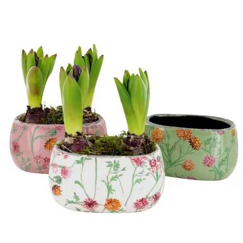 La solution pour votre jardin:Narcisse tête a tête céramique - La composition