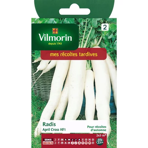 Une idée pratique pour l’extérieur：Graines de radis april cross Vilmorin - graines à semer