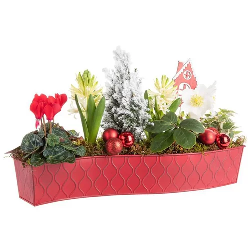 Sélection maison：Composition de Noël fleurs en chemin de table - 40 cm