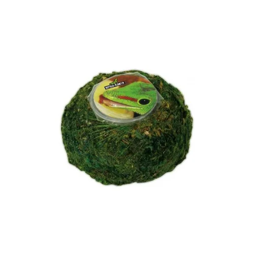 Mieux au jardin:Support pour Vita Jelly coloris vert Reptile Planet Repti Moss Ball - 7,5 x 7,5 x 5 cm