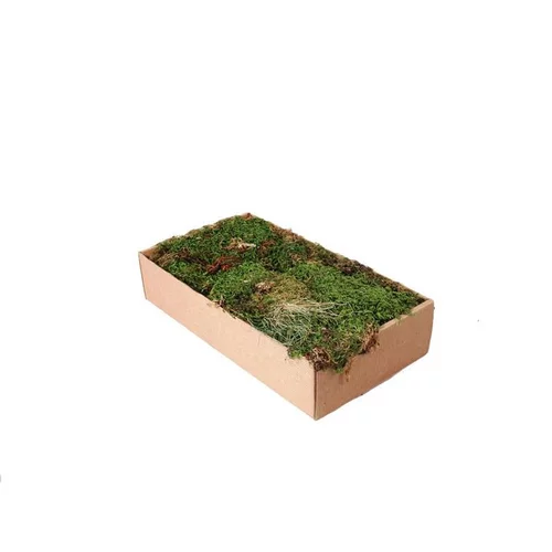 L’esprit jardin:Boite de mousse tapis - 100 gr