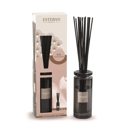 Extérieur adapté：Bouquet parfumé initial + recharge senteur iris cachemire Esteban - 100 ml
