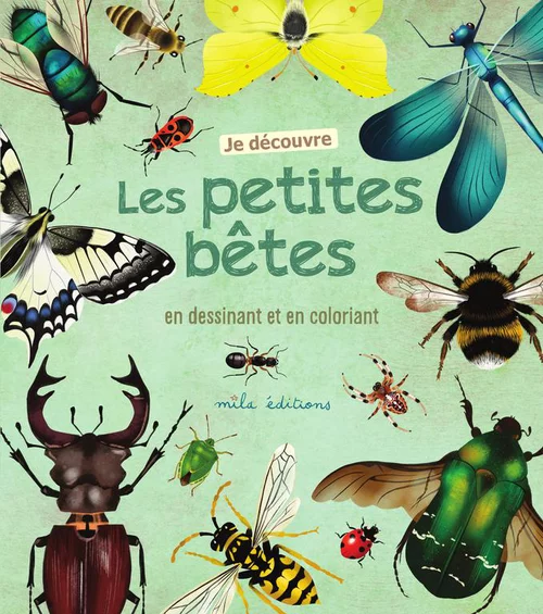 Une touche pratique au jardin：Livre Je découvre les petites bêtes en dessinant et en coloriant - 24 pages