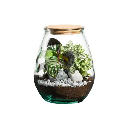 Moderne extérieur:Terrarium autonome botanic® Darasa - Taille M Ø 19 cm H 23 cm