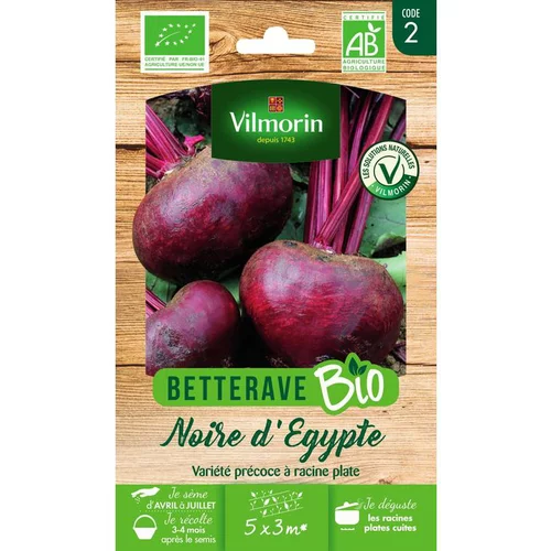 Utile dehors：Graines de betterave noire d'Egypte bio Vilmorin - graines à semer
