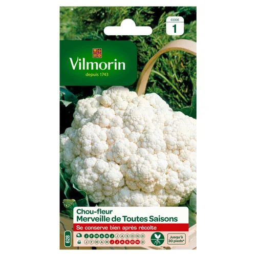 Bien pratique à l’extérieur：Chou-fleur Merveille de toutes saisons Vilmorin - graines à semer