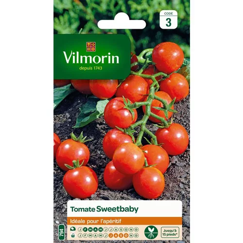 L’essentiel pour le jardin：Graines de tomate sweetbaby Vilmorin - graines à semer