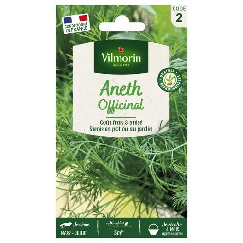 Pour aménager vos extérieurs:Aneth Officinal Vilmorin - graines à semer
