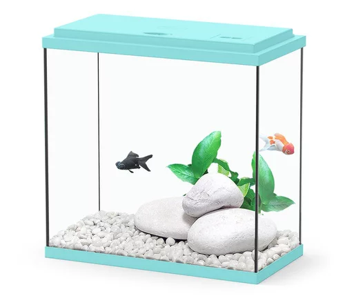 Pour profiter dehors:Aquarium Coralia avec filtre coloris turquoise Aquatlantis - 18 L
