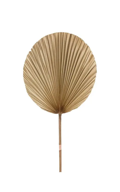 Votre jardin：Décoration feuille ronde coloris beige en feuille de palmier - 35 x 60 cm