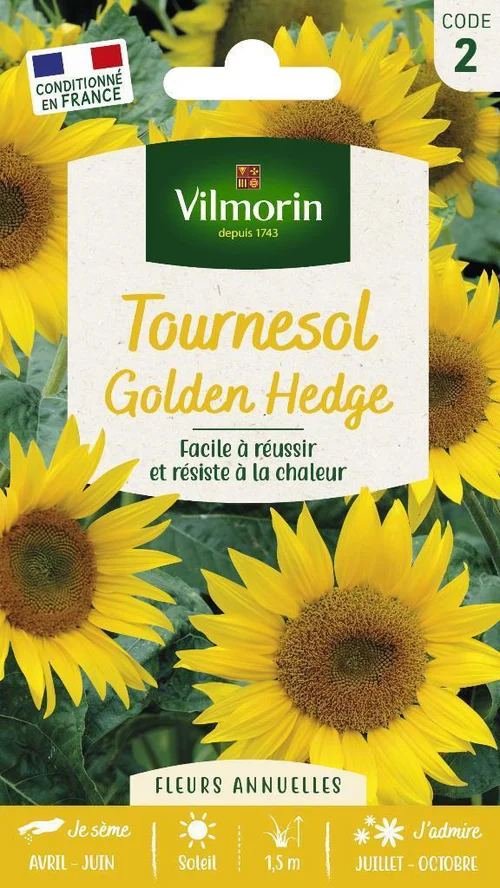 Une touche jardin：Tournesol Golder Hedge Vilmorin - graines à semer