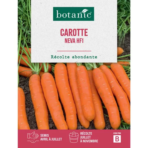 Déco extérieur：Graines de Carotte neva hybride F1 botanic® - graines à semer