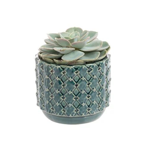 Pour donner du style à l’extérieur：Echeveria + cache-pot céramique, Ø12 cm