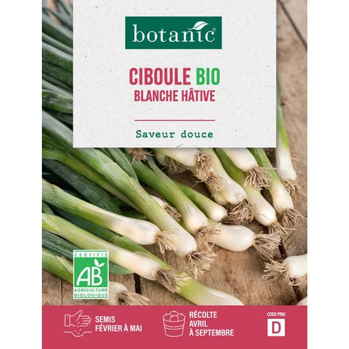 Les incontournables du jardin：Graines de ciboule blanche hâtive bio botanic® - graines à semer