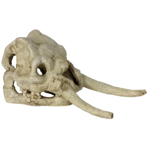 Malin pour le jardin：Décor pour vivarium en résine coloris blanc crâne de dinosaure Reptile Planet Dinosaurus Skull - 22 x 11 x 12,5 cm