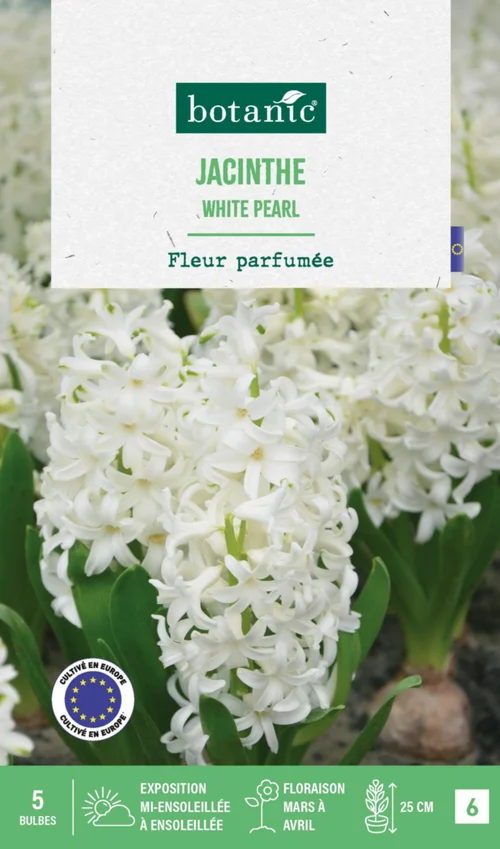 Utile pour l’extérieur:Jacinthe white pearl botanic® - 5 bulbes