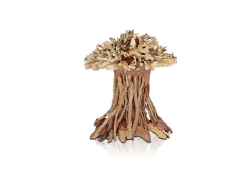 Confort jardin：Décor pour aquarium coloris marron Aquavie Three Forêt SPM - 13 x 13 x 9 cm
