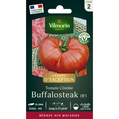 Équipement au jardin：Sachet de semences potagères graines de tomate Buffalo Steak HF1 Graines d'Exception