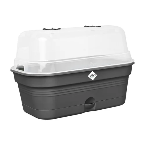Une touche pratique au jardin:Plateau de culture coloris living noir Elho Green Basics Allin1 - 18 x 32 x 13,2 cm