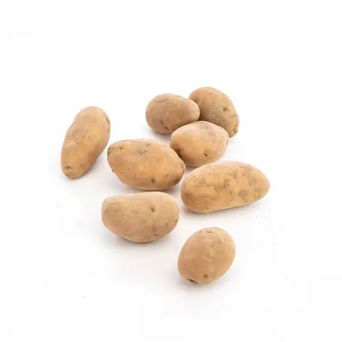 Style nature：Pomme de terre Charlotte bio - Prix au kg