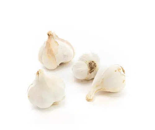Jardin & solutions:Ail bio - Prix au kg