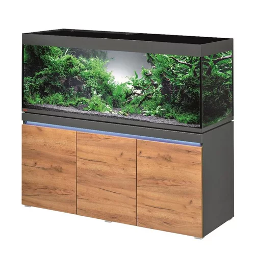 Utile dehors:Aquarium eau douce avec meuble coloris graphiteature Eheim Incpiria 530L
