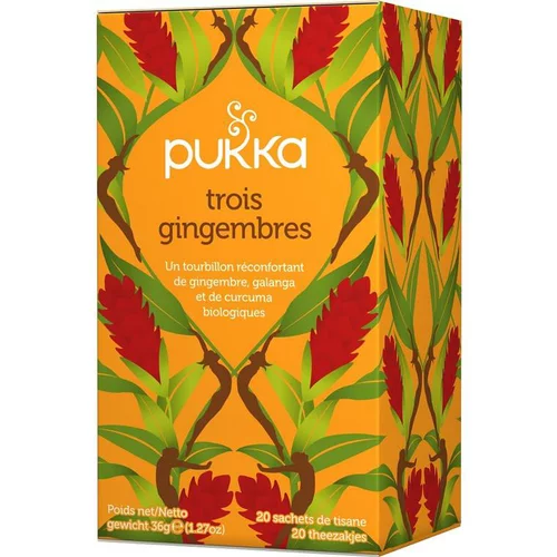Un choix pratique pour l’extérieur：Infusion Trois gingembres 20 infusettes