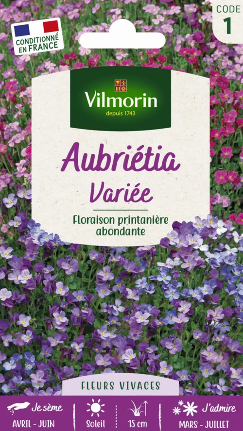 Adapté au jardin：Aubrétia Variée Vilmorin - graines à semer