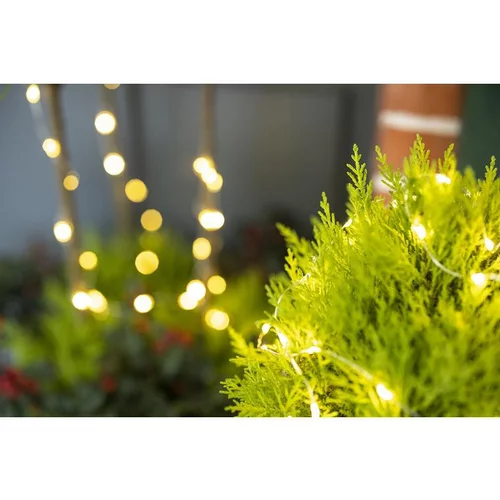 Pour mieux profiter du jardin：Gold crest tige 2 boules - Le pot de 2.5 litres