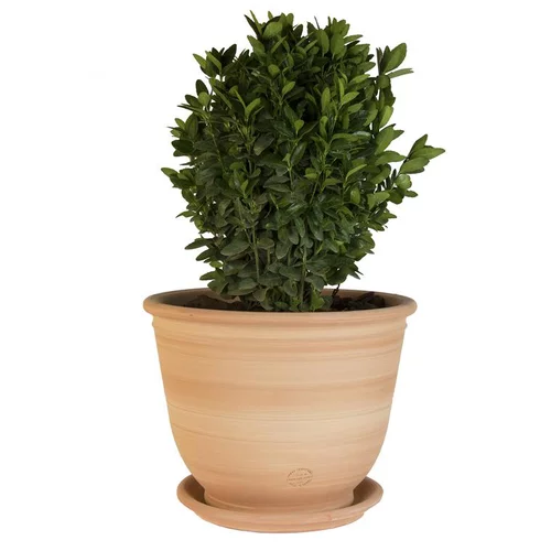 Une idée pour votre jardin：Pot Campanas lisse en terre cuite - D30x H28