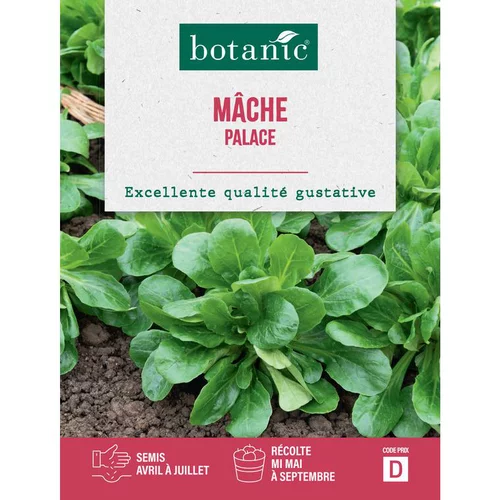 Fonctionnel au jardin：Graines de mâche palace botanic® - graines à semer
