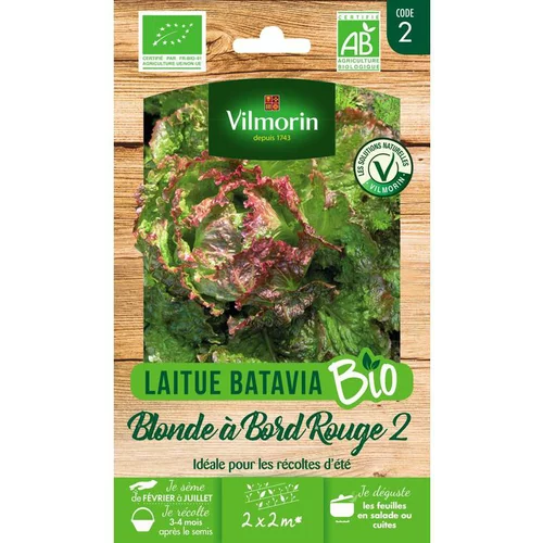 Sélection malin:Graines de laitue blonde à bord rouge 2 bio Vilmorin - graines à semer
