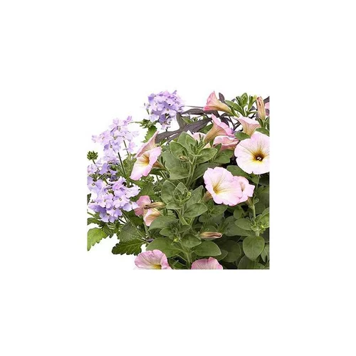 Pour profiter pleinement de l’extérieur：Melange Confetti Romantique - La jardinière de 50 cm
