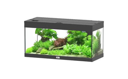 Votre allié à l’extérieur：Meuble pour aquarium en bois coloris gris foncé 3 portes Aquatlantis Sublime Ultra 150 - 150 x 50 x 83 cm