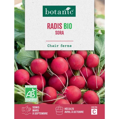 Côté végétal：Graines de radis sora bio botanic® - graines à semer