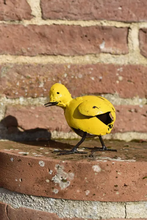 Une touche jardin:Figurine décorative poussin coloris jaune en métal