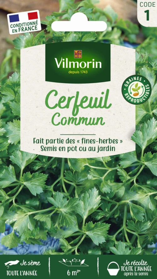Une sélection pour le jardin：Cerfeuil commun Vilmorin - graines à semer