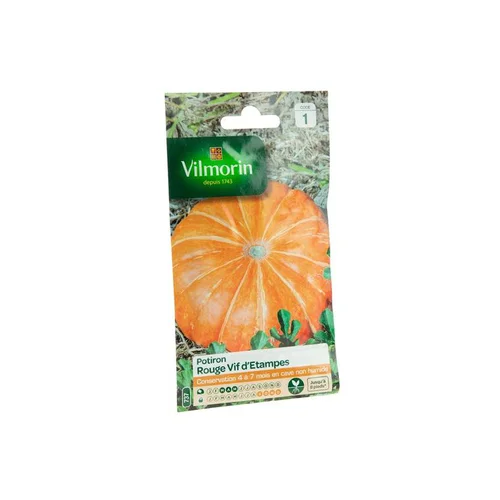 Tout pour le jardin：Graines de Potiron rouge vif d’Etampes Vilmorin - graines à semer