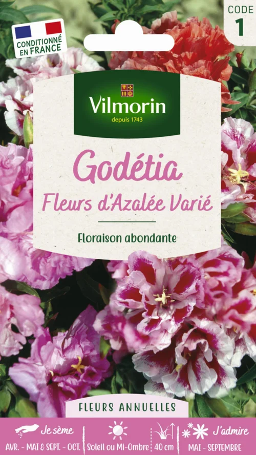 Pratique extérieur：Graines de Godetia Fleurs d’Azalée varié Vilmorin - graines à semer