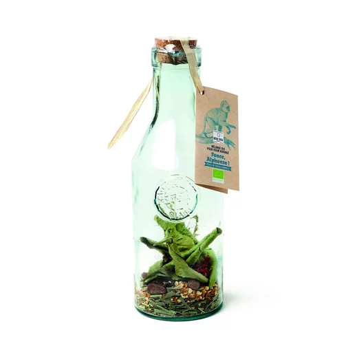 Simple au jardin:Mélange cacao-cannelle pour rhum arrangé « Fonce Alphonse » 45 gr